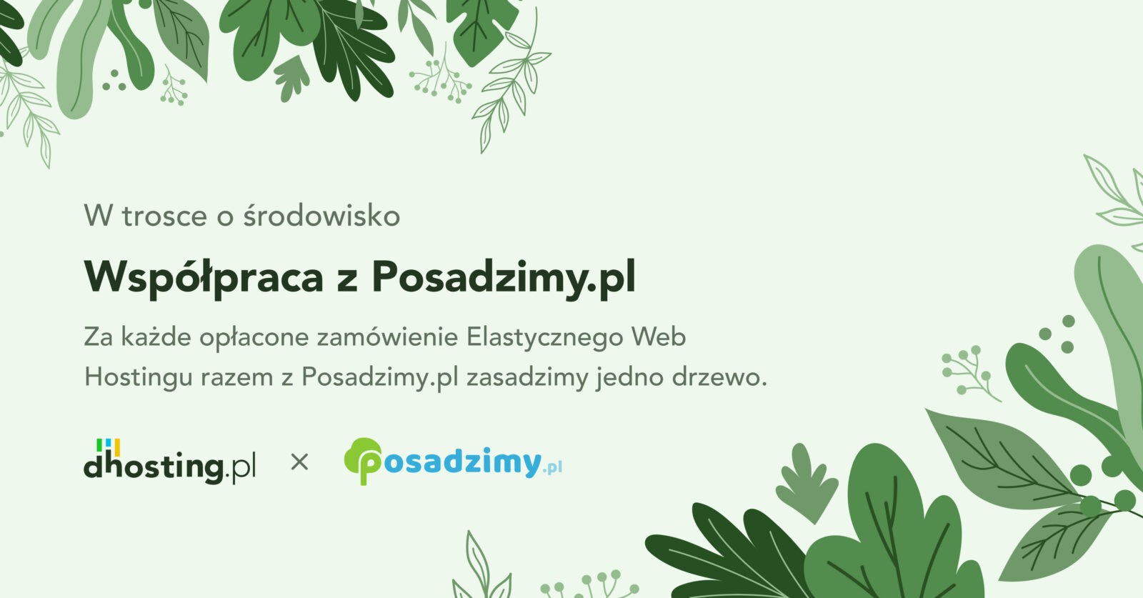 Dhosting.pl i Posadzimy.pl – współpraca dla zalesienia Polski