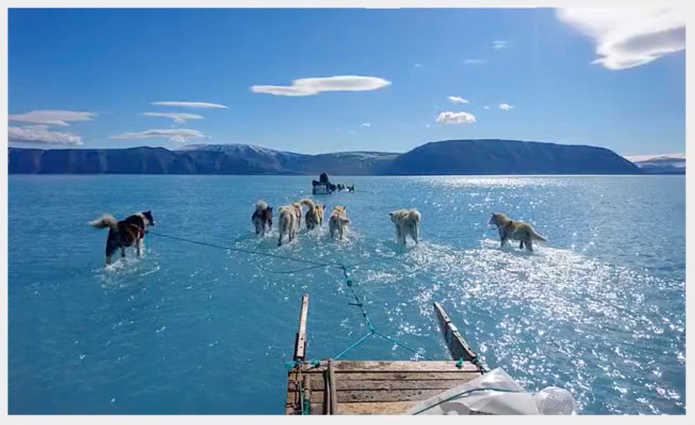 Psi zaprzęg galopujący po jeziorze. To nowe zdjęcie Grenlandii i ostrzeżenie dla nas