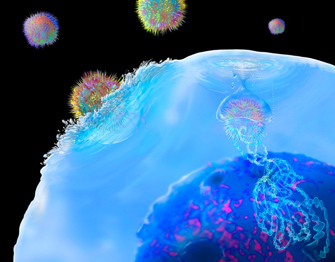 Wirusy w ludzkim DNA dbają o nasze zdrowie. Zaskakujące odkrycie naukowców
