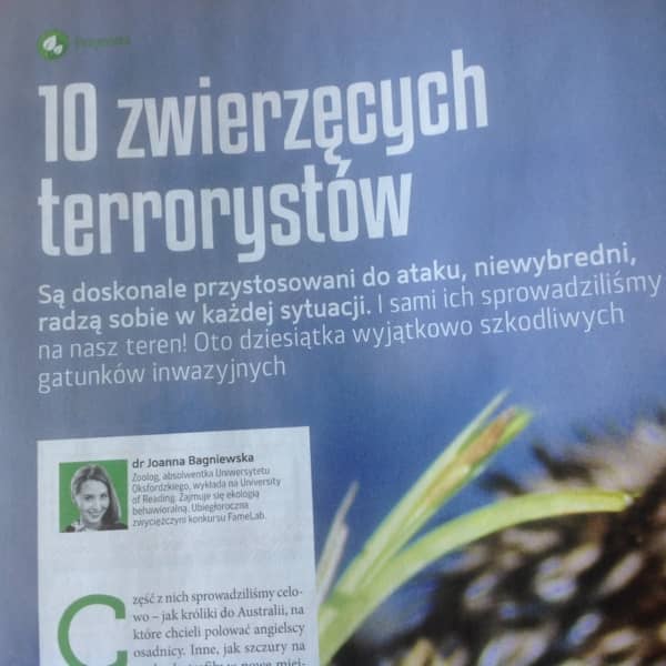 Artykuł Asi Bagniewskiej w 