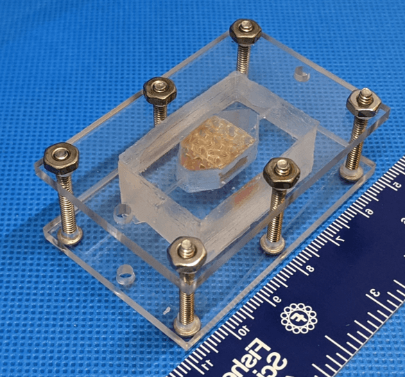 watroba-z-drukarki-nagrodzona-przez-nasa-pomoze-pacjentom-w-kosmosie-i-na-ziemi-fot-wake-forest-institute-for-regenerative-medicine