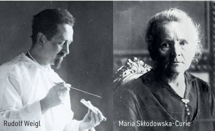 rudolf-weigl-maria-sklodowska-curie