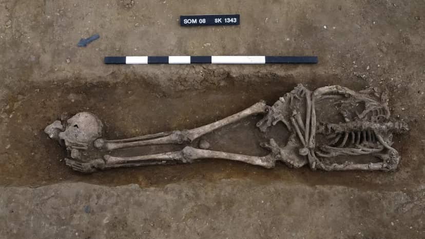 jeden-z-grobow-na-kobbs-farm-fot-dave-webb-cambridge-archaeological-unit
