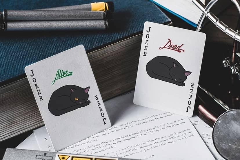jokerem-w-talii-quantum-jest-kot-schroedingera-fot-instagram-qedplayingcards