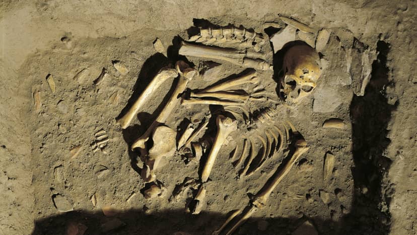 szczatki-neandertalczyka-z-la-chapelle-odkryto-na-poczatku-xx-wieku-na-zdjeciu-rekonstrukcja-pochowku-fot-dea-a-dagli-orti-de-agostini-via-getty-images