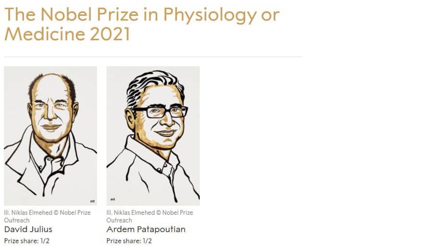 nagroda-nobla-2021-nobel-z-medycyny-za-odkrycie-receptorow-temperatury-i-dotyku-fot-nobel-prize-outreach