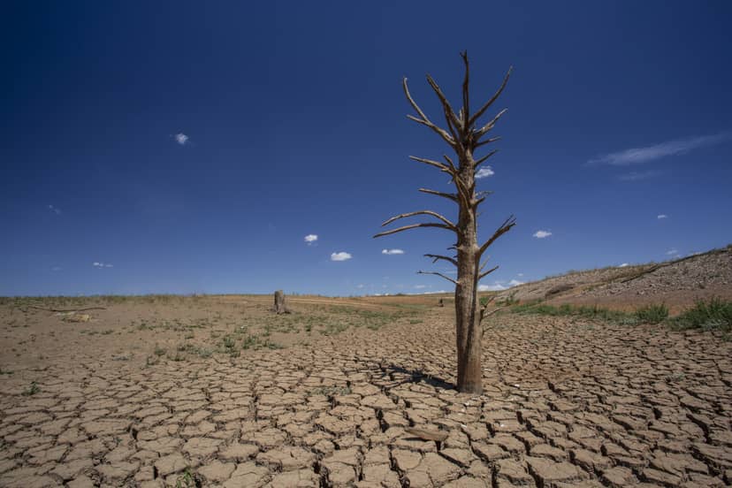 w-australii-odnotowano-50-7-stopnia-celsjusza-sa-duze-szanse-ze-niebawem-padnie-kolejny-rekord-temperatury-fot-getty-images
