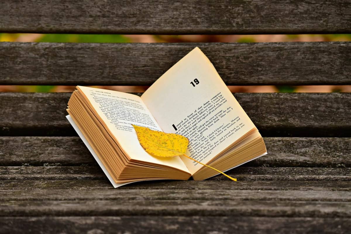 Tego nie wymyślił Google Translator. 5 wpadek przy tłumaczeniu tytułów lektur