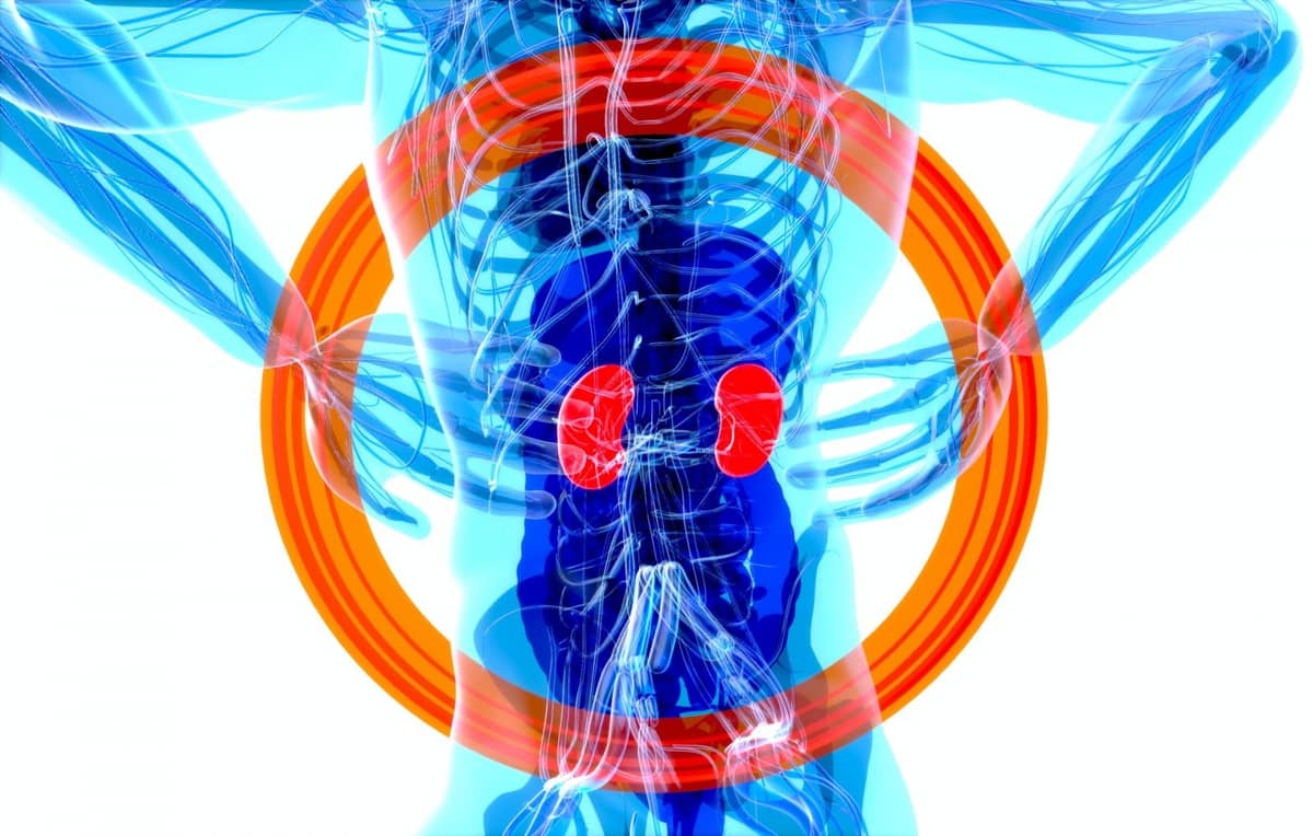 Metoda DISOT może odmienić transplantologię /Fot. Julien Tromeur on Unsplash
