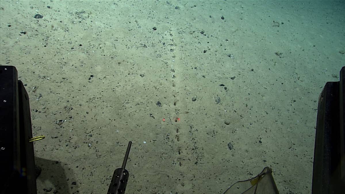 Zagadkowe znaki na dnie oceanu. Naukowcy głowią się, by wyjaśnić, jak powstały