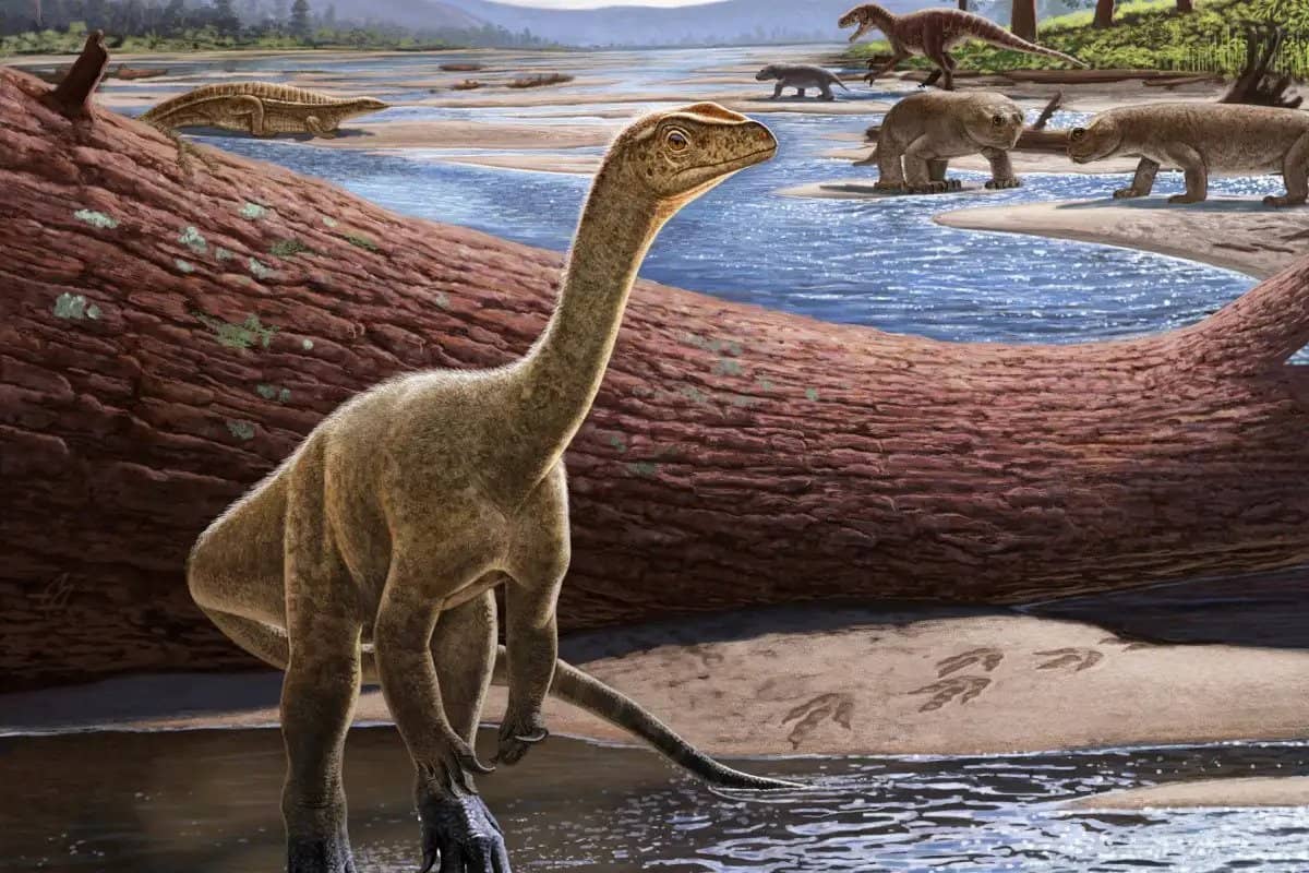 Jak współcześnie wyglądałyby dinozaury?
