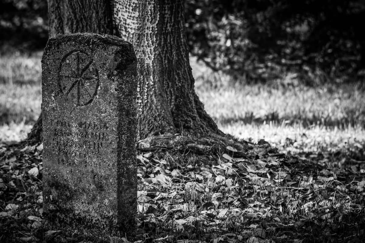 Te kości skrywały ponurą prawdę sprzed 1700 lat. Co się stało z teściową, matką i jej nienarodzonym synem?