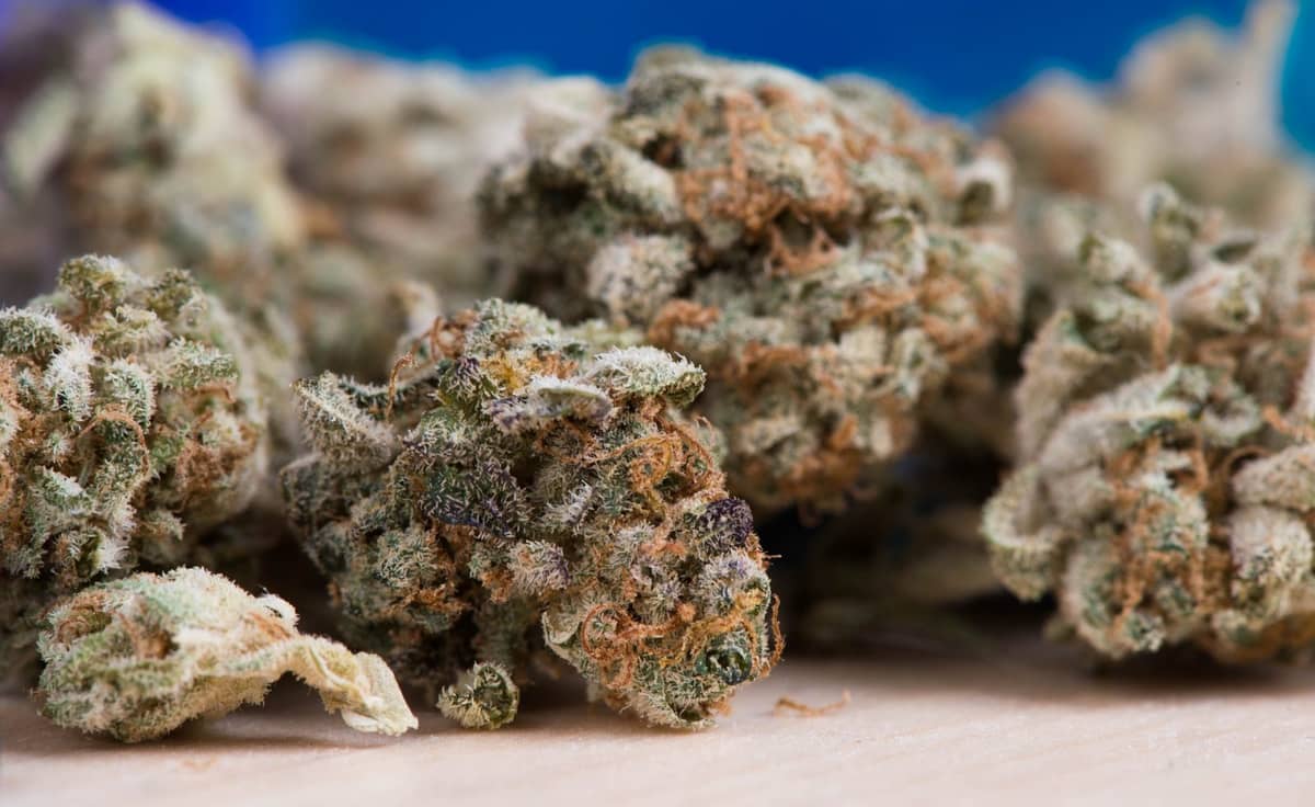 Marihuana jest groźna dla płuc &#8211; nie ma wątpliwości /Fot. Pixabay
