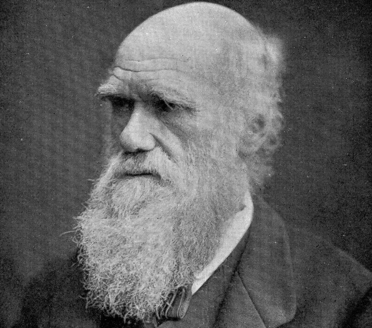 Na te pytania odpowiedzi nie znał nawet Darwin. Dopiero nastolatkowie doprowadzili do rewolucji w naukach o ziemskim życiu