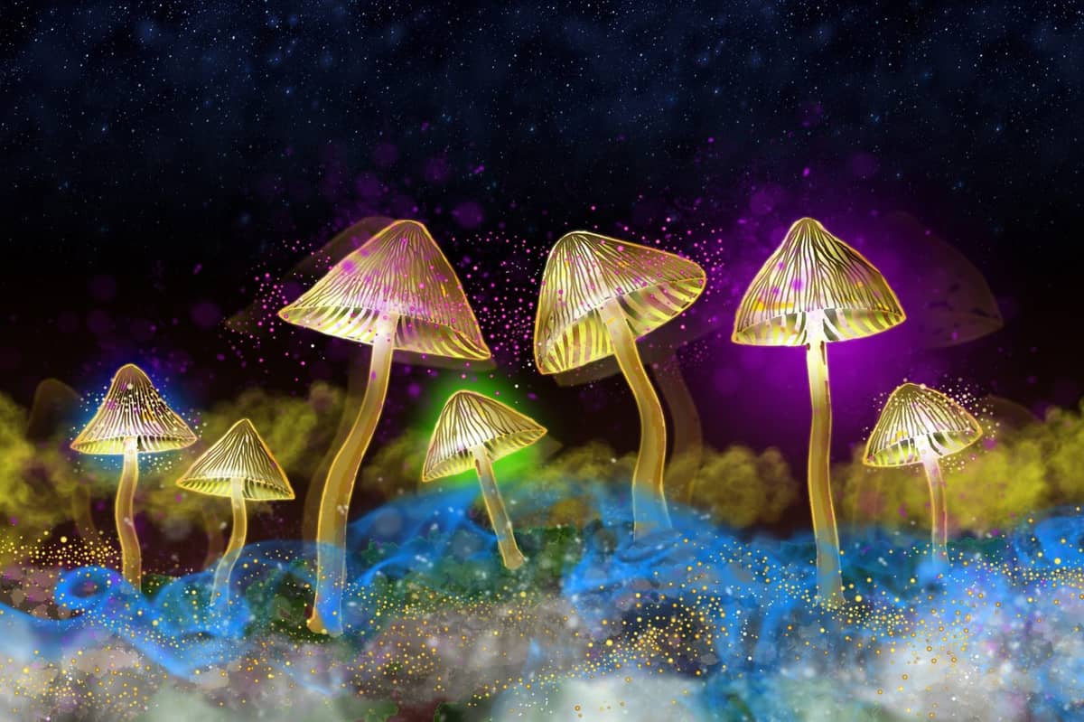 Psylocybina może mieć pozytywny wpływ na leczenie depresji /Fot. Pixabay
