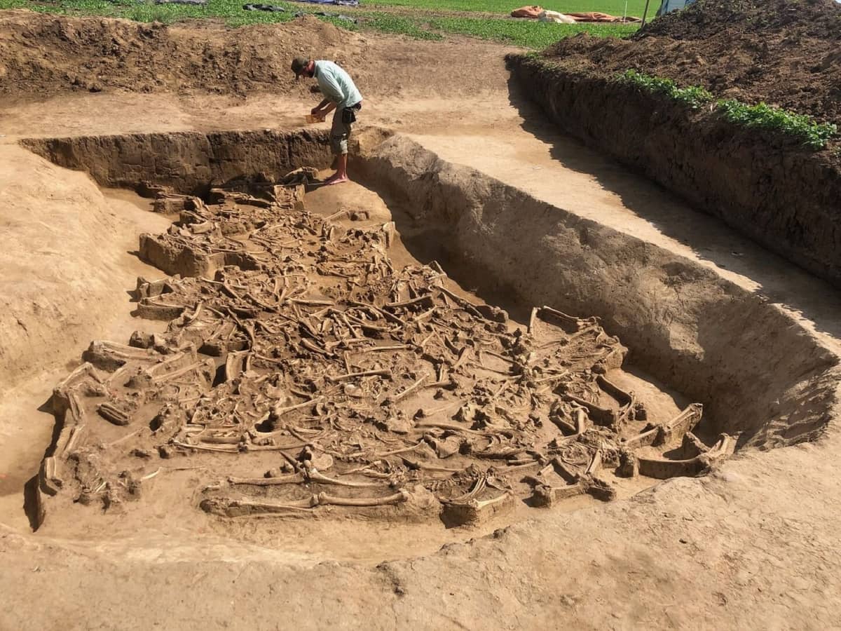 Pozbawione głów szkielety tuż za naszą granicą. Przerażające znalezisko dotyczy niemal 40 osób