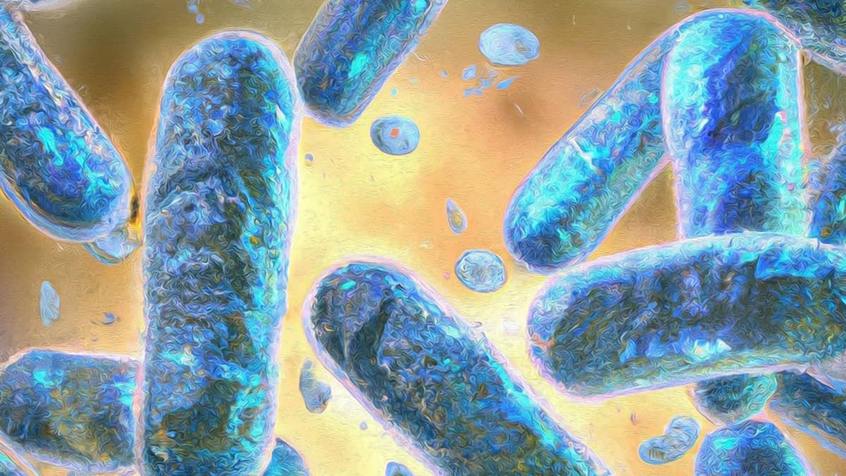 Te komórki są żywe i nieżywe jednocześnie &#8211; naukowcy określają je mianem &#8220;półżywych&#8221; lub komórek-cyborgów /Fot. UC Davis
