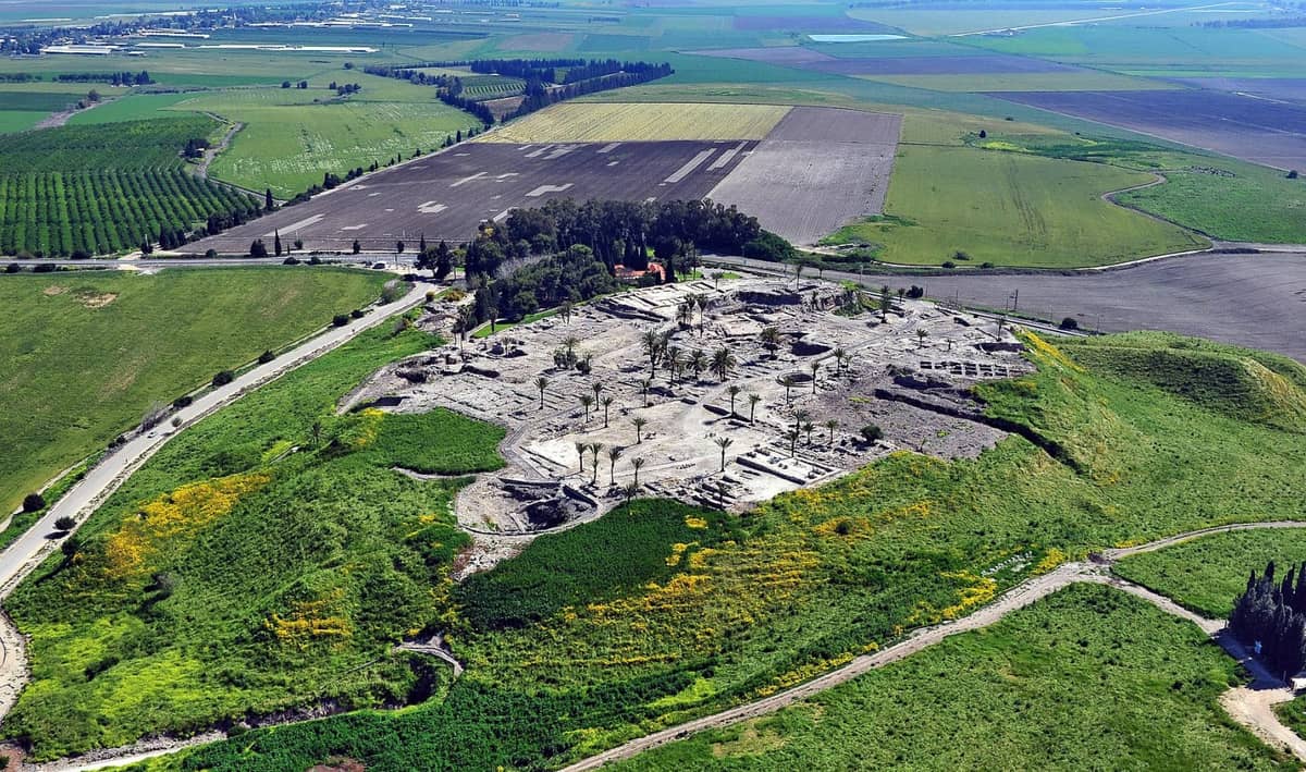 Operacje mózgu wykonywali zaskakująco dawno temu. Imponujące znalezisko archeologów