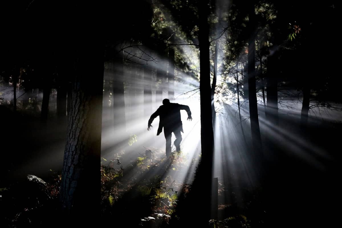 W jaki sposób ewolucja sprzyja psychopatom?
