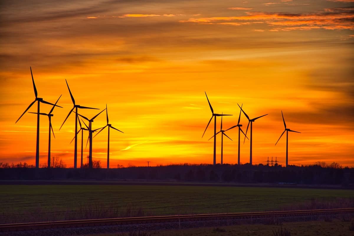 Wiatraki wykręciły niezły numer. Od teraz polskie piwo jest produkowane tylko dzięki zielonej energii
