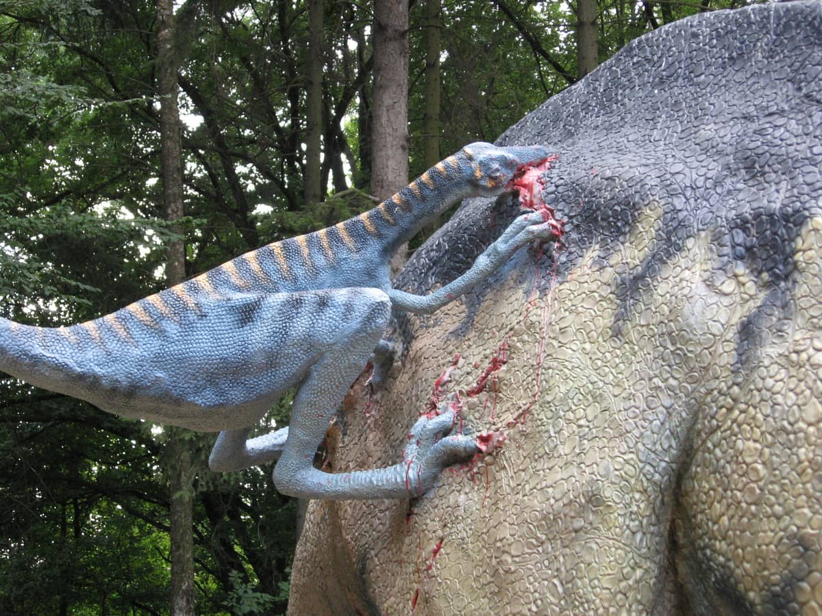 Najmądrzejszy dinozaur był jeszcze bardziej rozwinięty. Z ptakami łączy go genialna zdolność