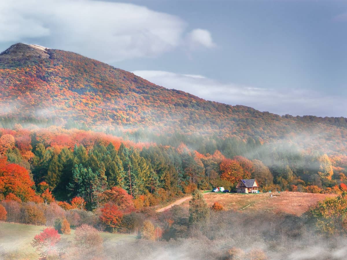 Bieszczady nie są wcale takie dzikie. Obalono mit o ich rekordowym drzewostanie