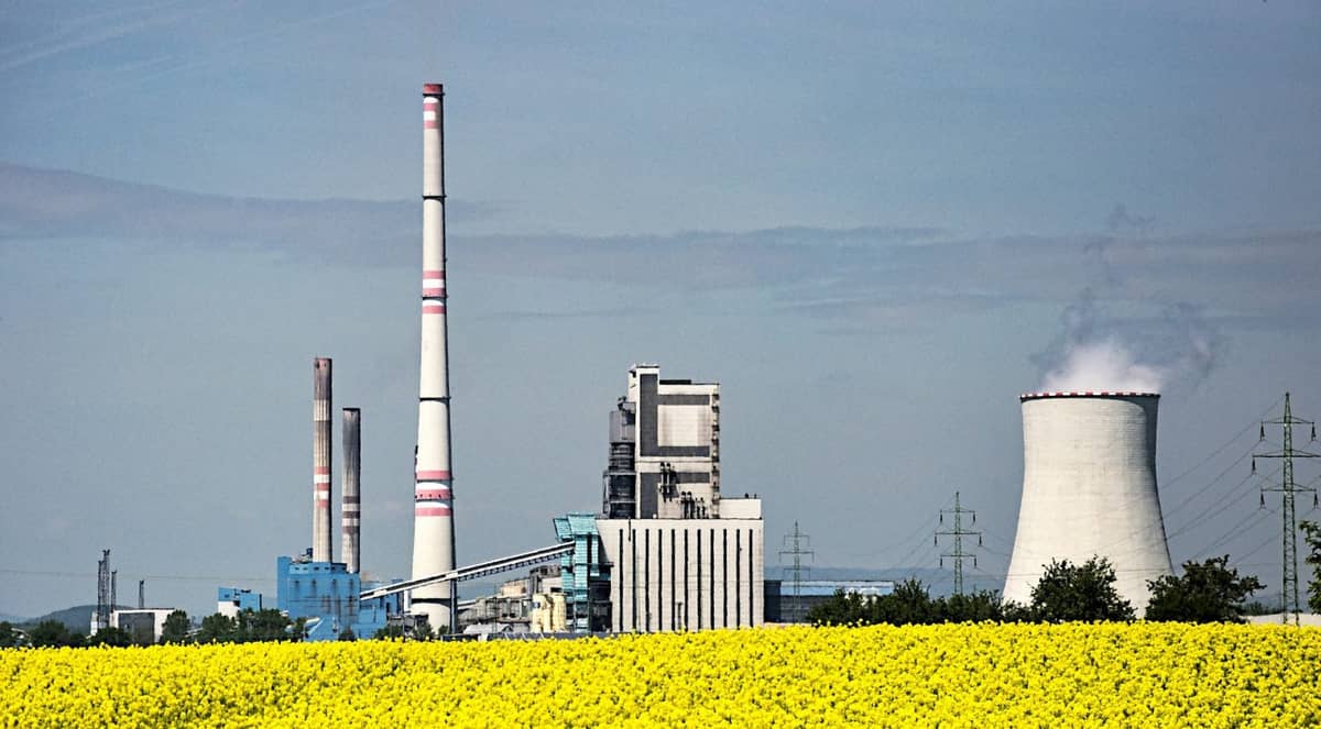 Biopaliwo nie takie zielone, jak je malują. Niewiarygodne, ile olejów spalamy w samochodach