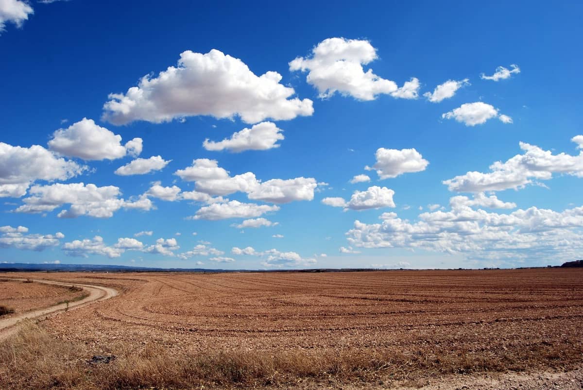Geny oporności na antybiotyki transportowane przez chmury &#8211; jak to możliwe? /Fot. Pixabay
