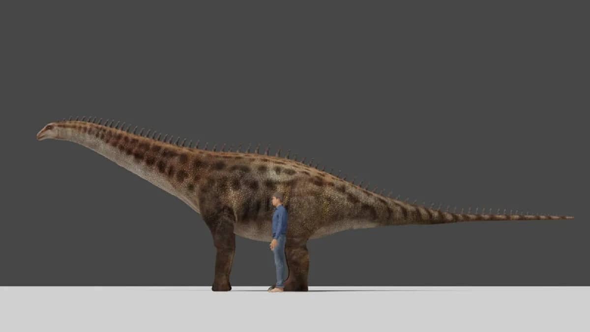 Dinozaury pozostawiły po sobie pamiątki. Znaleziono je pod restauracyjnym stołem