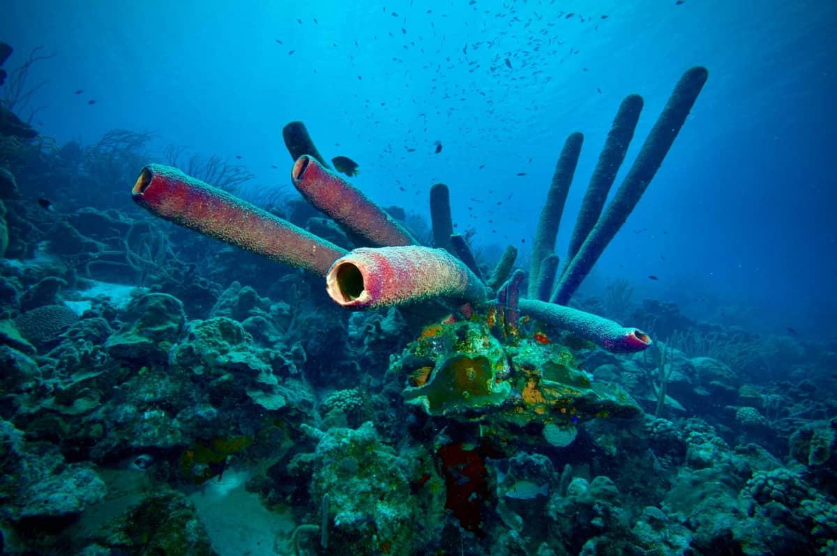 Przykładowe głębiny oceanu
