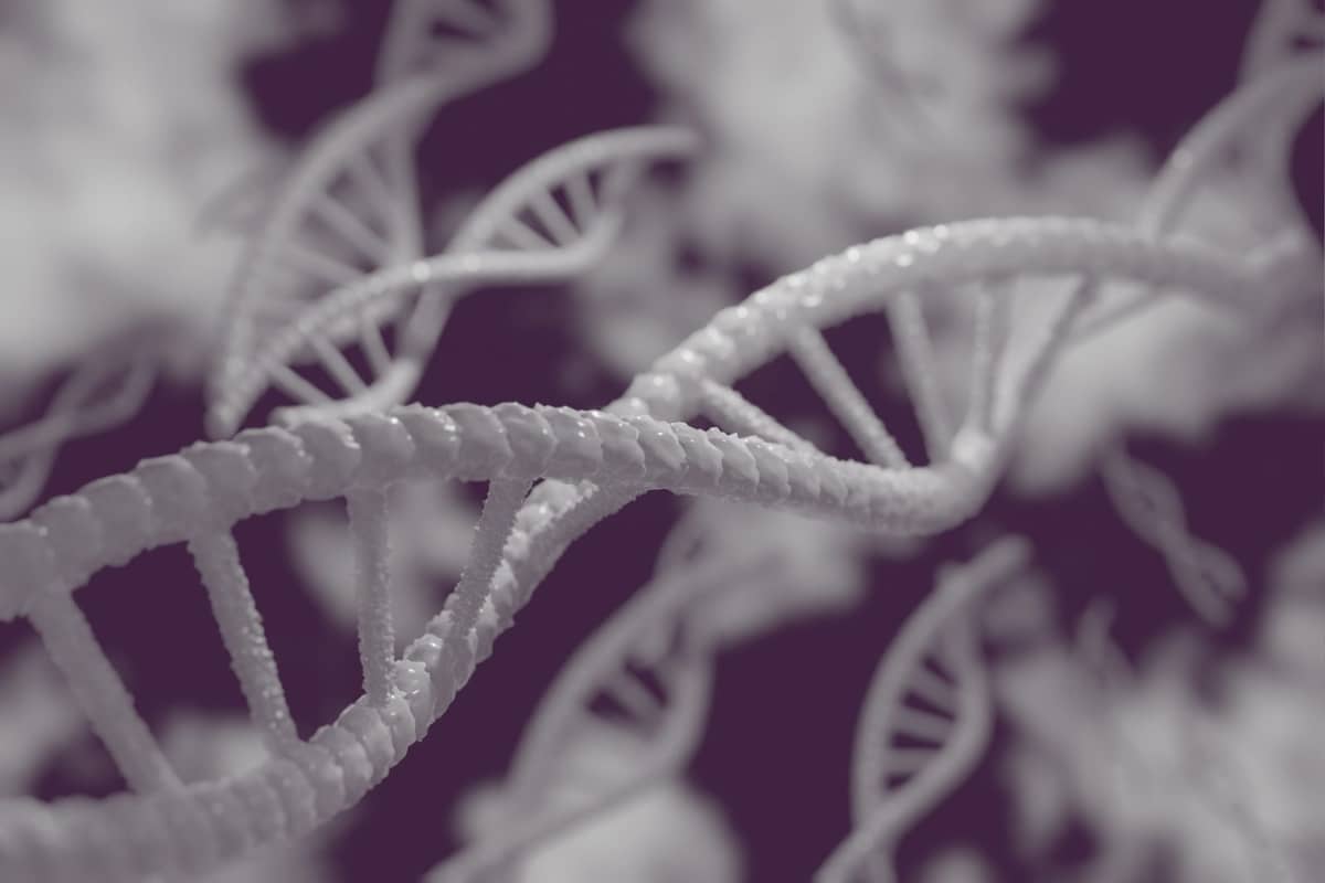 Nowa technika oglądania DNA /Fot. Pixabay
