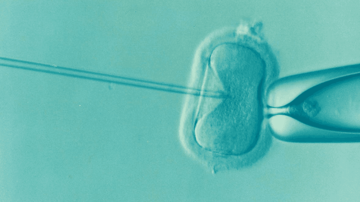 Zapłodnienie in vitro &#8211; zdjęcie poglądowe /Fot. Pixabay
