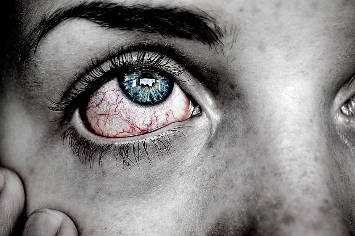 /Fot. Pixabay
