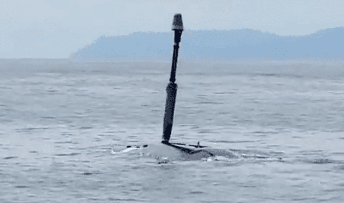 Orca już pod wodą /Fot. Twitter
