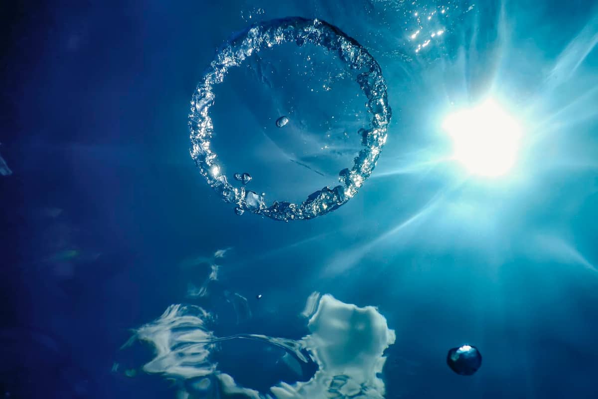 Tajemnicze stworzenie wyłoniło się z oceanicznych głębin /Fot. Freepik
