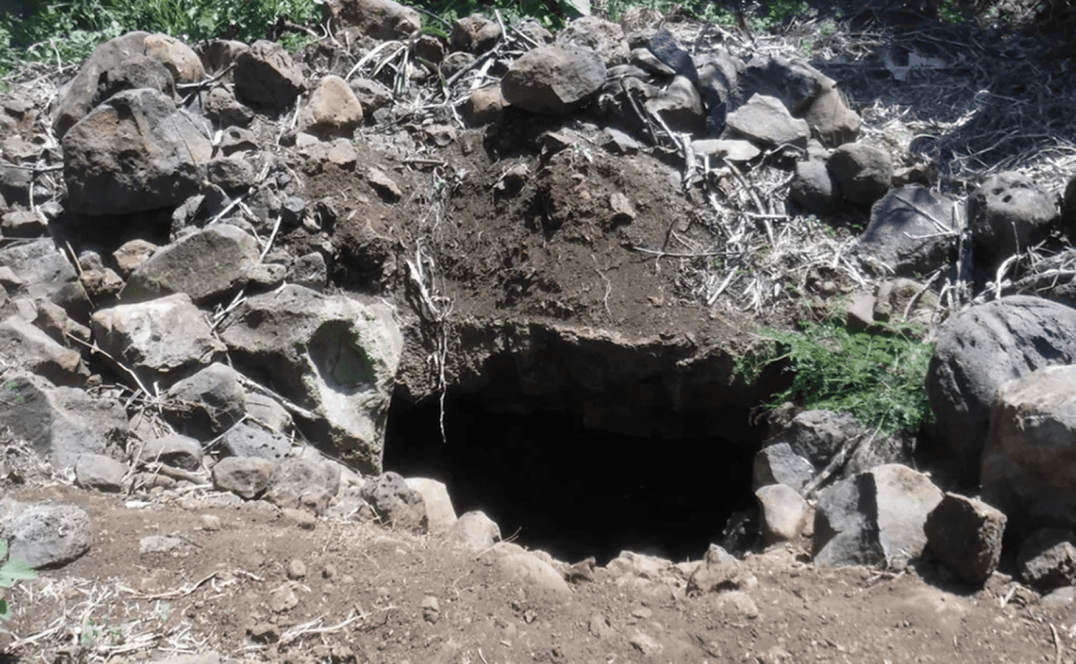 Jeden z nowych gatunków został znaleziony w tej jaskini na wyspie Reunion /Fot. Subterranean Biology
