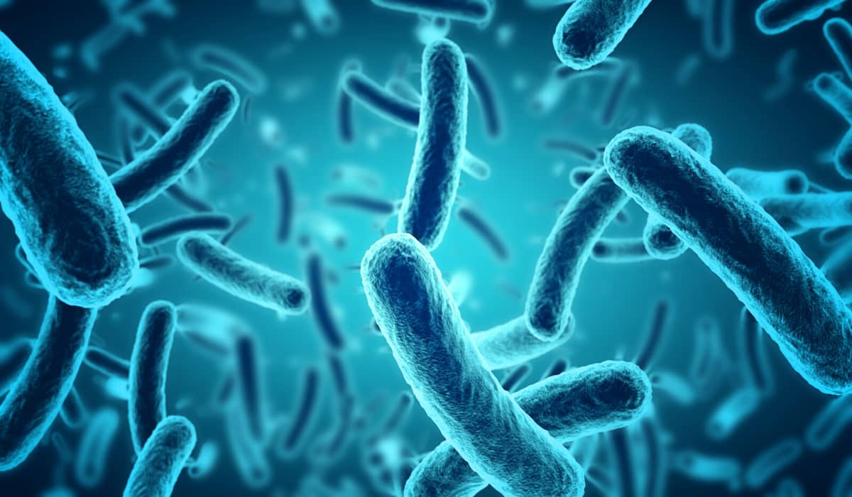 Nowy test na antybiotykooporność