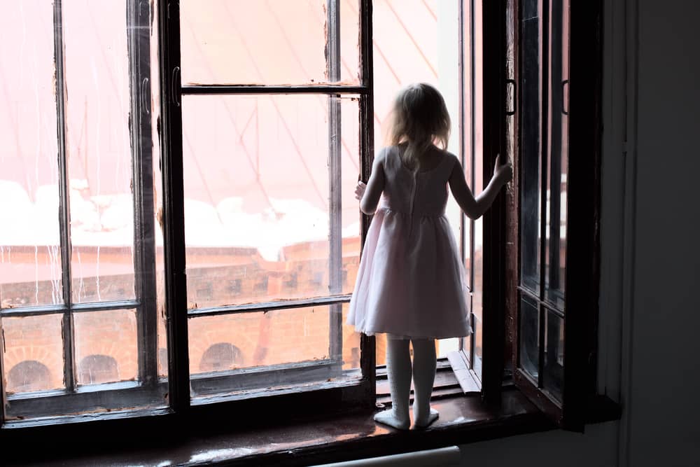 Pedofile z poznańskich wyższych sfer