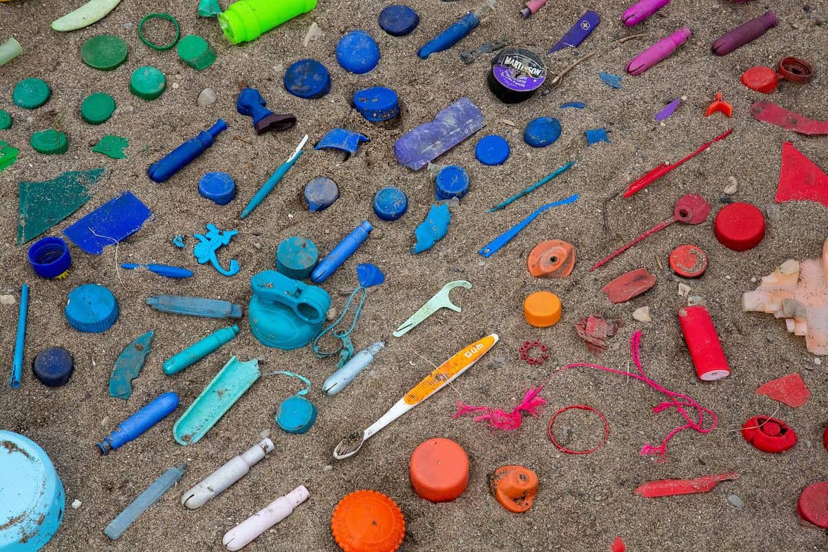 Plastikowe odpady znikną, zanim zdążymy wynieść je z domu. Niezwykły enzym w akcji