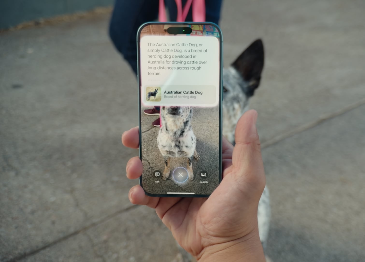 apple visual intelligence