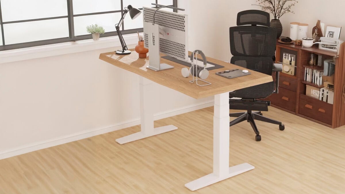 FlexiSpot