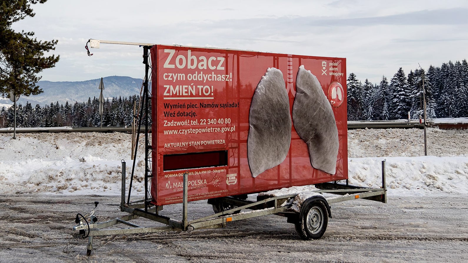 smog w polsce pokazany na modelu płuc