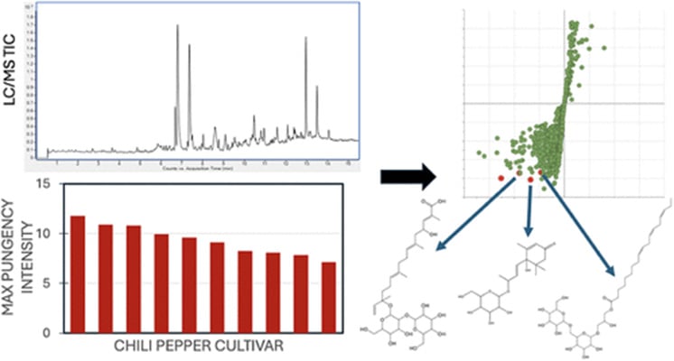 trzy związki chemiczne są mocno powiązane z ostrością papryczek chili