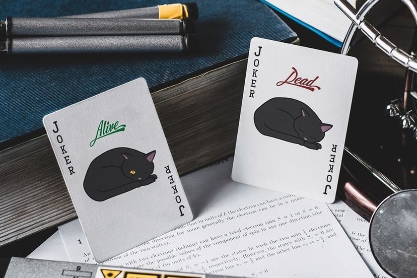 jokerem-w-talii-quantum-jest-kot-schroedingera-fot-instagram-qedplayingcards