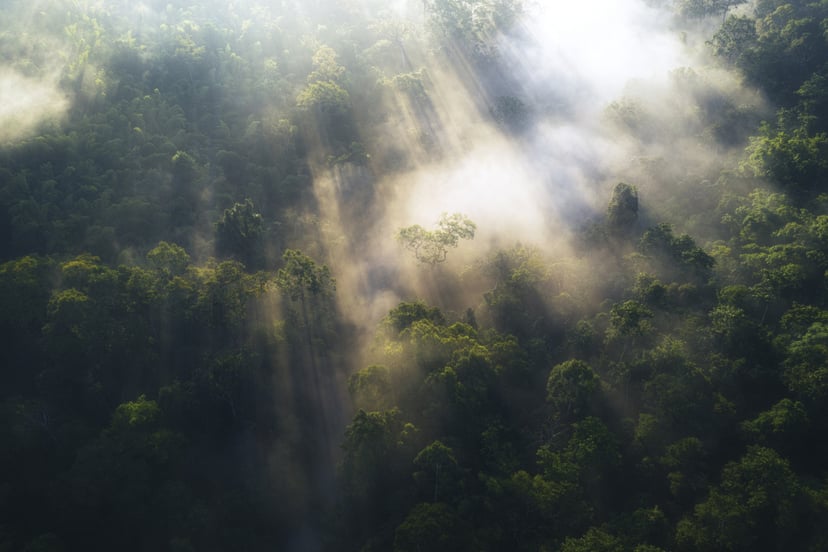 natura