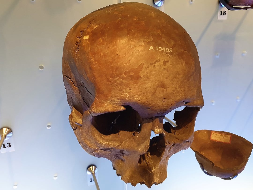 Człowiek wyszedł z Afryki, jednak jego droga do Europy okazała się niezwykle kręta