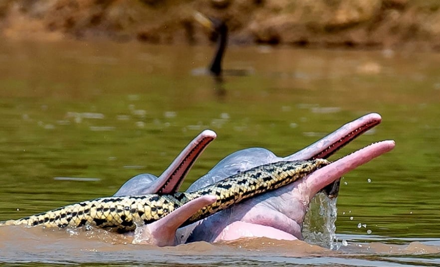 To zdjęcie nie było przerabiane. Wyjaśniamy, w jakich okolicznościach zostało wykonane