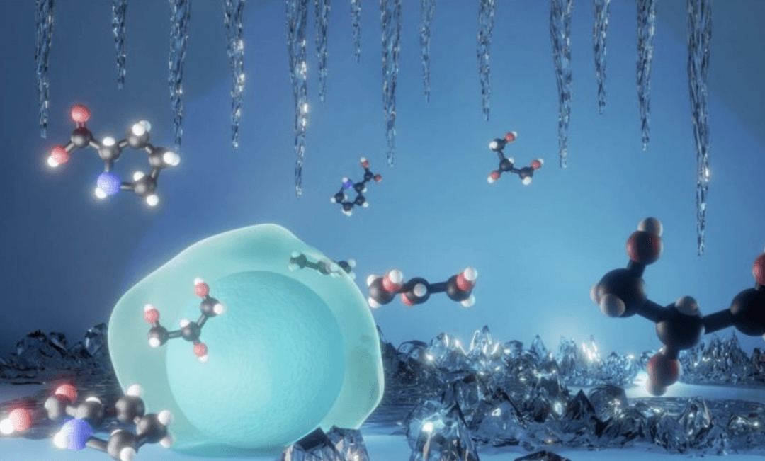 Koniec z kolejkami oczekujących na przeszczepy. Narządy wytrzymają lata, a nie godziny