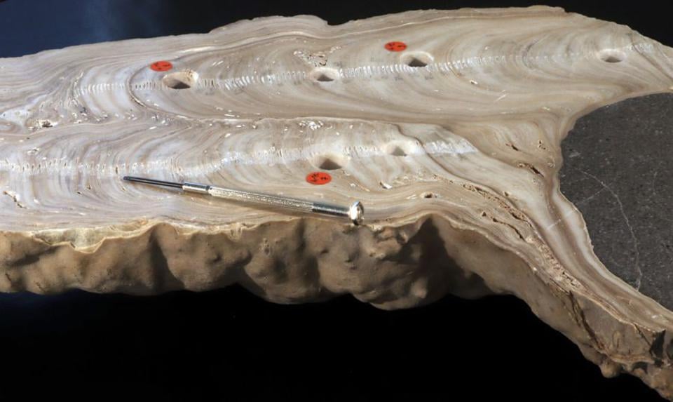 Islam rozkwitł dzięki suszy. Zaskakujące doniesienia archeologów