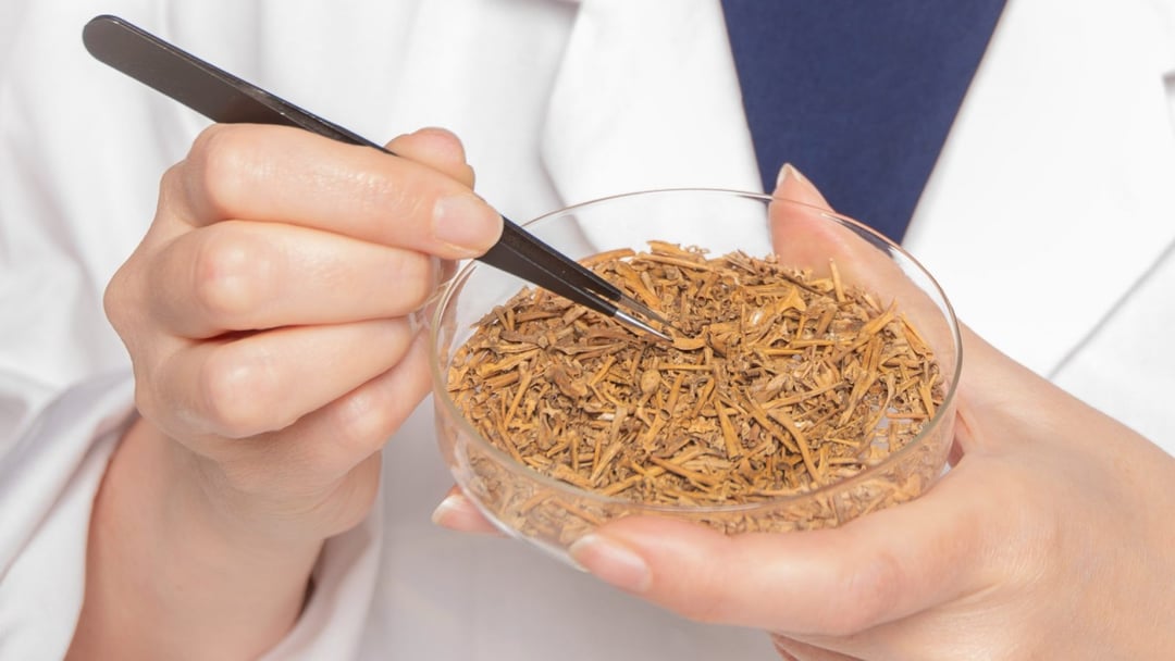 Dół z epoki żelaza jest wypełniony tysiącami kości. Ich pochodzenie zaskakuje